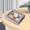 IHEIPYE Insect Display Case Wall Mount Bug Display Case with