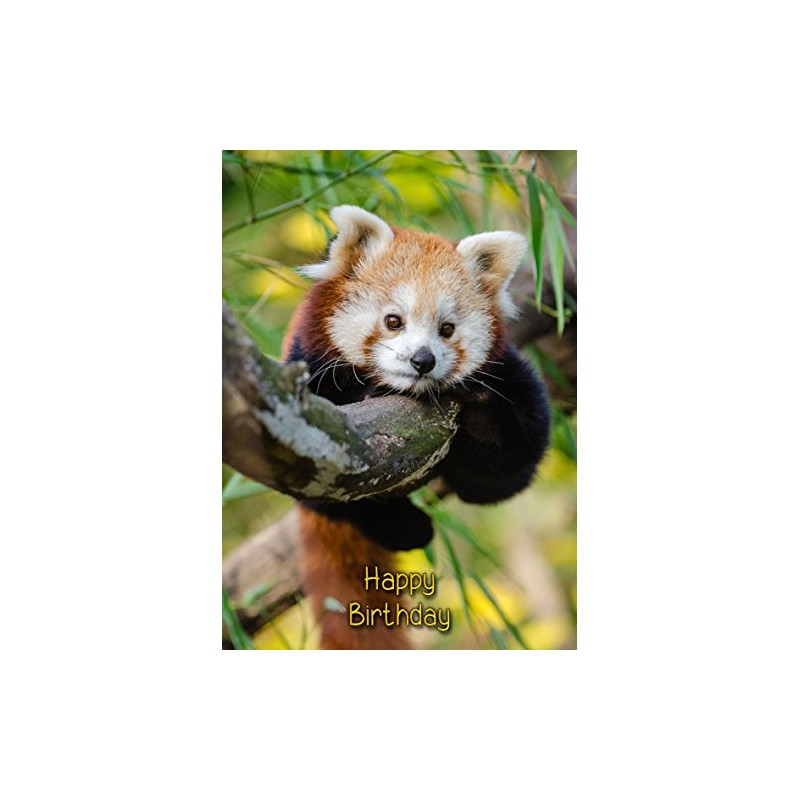 Red Panda Birthday Card