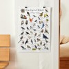 Where's Wildlife Backyard Birds of Wisconsin Bird Identification Poster (12"