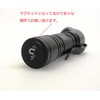 SIGHTRON (Scitron) LED Light Bright Tech (Bright-TECH) EX100AL Brightness 100