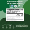 FGO Organic Green Tea, 100 Count Eco-Conscious Tea Bags, Caffeinated,