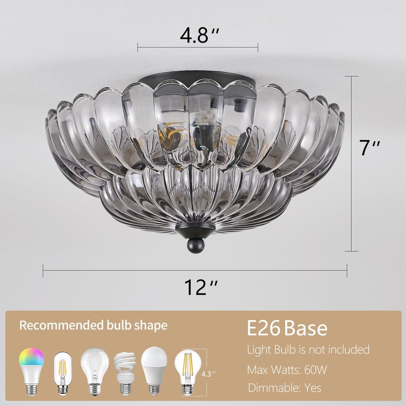 Modern Black Ceiling Light Fixture, 12" Clear Glass Flush Mount