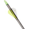 Gold Tip Hunter XT Arrows with Raptor Vane (Pack of