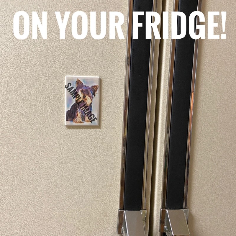 Bible Verse The Lord Will Fight For You Exodus 14:14