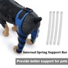 Dog Knee Brace Adjustable Dog Double Rear Leg Brace with