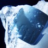 TFIT Icy Fit Cover Cushion EX SPF50+ PA++++ 12g, Shade:N1.5