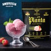 Ambrosia Ambrosia Planta - Premium Organic Plant-Based Protein | Vegan