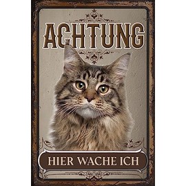 Weatherproof, Sturdy Cat Sign for Outdoor Use – Notice Sign: Achtung hier wache ich! – Cat Decorative Aluminium Dibond Sign, Weatherproof 30 x 20 cm (Maine Coon)