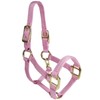 Intrepid International Nylon Miniature Horse Halter, Pink, Large