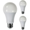 Diodesy- A19 LED Light Bulb 16W 1600 Lumen E26 Medium