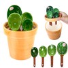 BigNoseDeer Ceramic Cactus Measuring Cups and Spoons Set Organizer, Cute