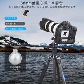 ARTCISE 36mm Low Center of Gravity Ball Head Aluminum 360 Degree Rotation Panoramic Pan Arca-Swiss Compatible Quick Shoe Tripod Head Freehead SLR DSLR Camcorder Max Load Capacity 20kg