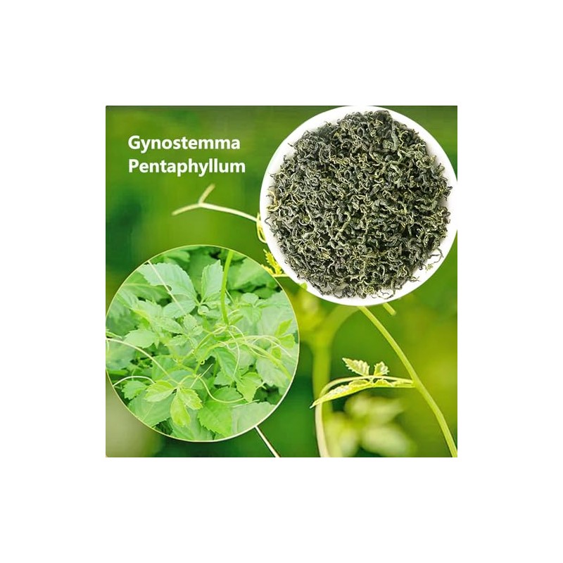 HOLFLYING Té Jiaogulan 100% Natural, 40 Bolsitas De Té, Té