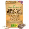 HPMC Organic Turkkey Tails Capsules 600mg UK British Made Fruiting