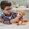 Hasbro FurReal E0367EU4 - Small Patient Zandi Interactive Soft Toy