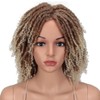 Style Icon Afro Wig Braids Wigs Dreadlocks Wig Ombre Blonde