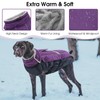 Queenmore Warm Fleece Dog Jacket, Cold Weather Waterproof Snowsuit, Reflective