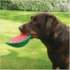 Rosewood Watermelon BioSafe Dog Toy