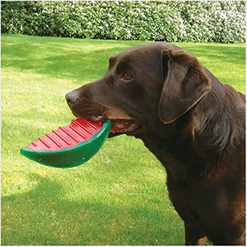 Rosewood Watermelon BioSafe Dog Toy