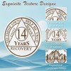 IELCJJ 14 Years Triplate Sobriety Coin - Sobriety Chip -