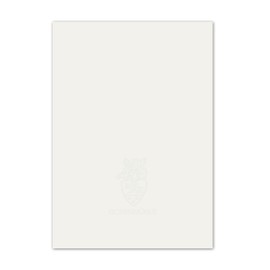 100 pcs // Zanders GOHRSMÜHLE Paper, White Matt DIN A4 // for High Quality Documents // Grammage: 90 G/Qm
