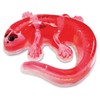 Slimy Original Lab Dissect-IT Salamander - Experiment & Research Dissecting