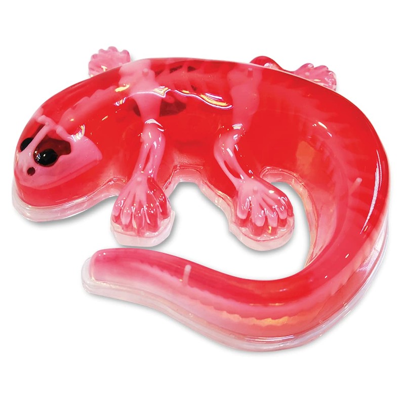 Slimy Original Lab Dissect-IT Salamander - Experiment & Research Dissecting