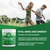 VIMERGY Vimergy Barley Grass Juice Powder, 62 Servings C Source