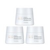 Atomy Absolute Cellactive Nutrition Cream 50ml 3 packs / 애터미