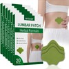 120pcs Back Heat Patches, Warming Herbal Maximum Strength Heat Patches,