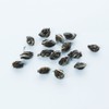 Band Tea Company Jasmine Phoenix Eye White Tea Mari Phoenix