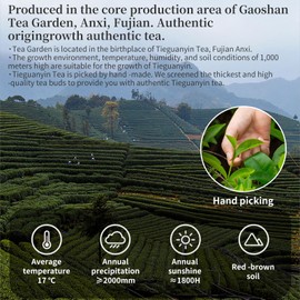 Yuexi Anxi Tieguanyin Tea Tie Guan Yin Oolong Tea Iron Goddess Oolong Tea Loose Leaf Chinese Tea High Mountain oolong Tea Orchid Oolong Tea 安溪铁观音 浓香型 乌龙茶 5.29oz/150g