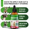 SalutemPet Prenatal Vitamins for Dogs & Cats with Glucosamine |