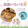 Cherry Pattern Vinyl Pool, For Children, Transparent and Cute, For