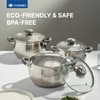 Daniks Modern 3 Quart Stainless Steel Stock Pot with Glass