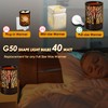SerBion 40 Watt Light Bulbs E12 Candelabra Base 120Volt Round