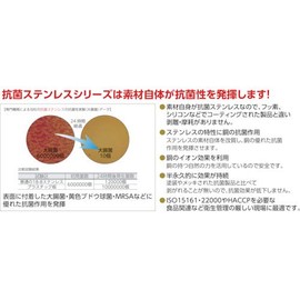 IKD イケダ抗菌ステンレス 角バット 10枚取