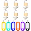 6 Pieces Mini Padlocks with 6 Pieces Coloured Key Plate,
