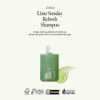 anillo [anillo]Lime Sunday Refresh Shampoo 450ml