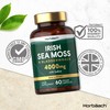 Irish Sea Moss and Bladderwrack Capsules 4000mg | 60 Capsules