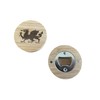 Ashton and Finch Welsh Dragon Bottle Opener and Fridge Magnet