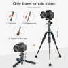 Koolehaoda Camera Mini Tripod Compact Tabletop Tripod with 360° Ball