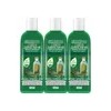 3 Shampoos Aceite Árbol De Te / Tea Tree Orgánico