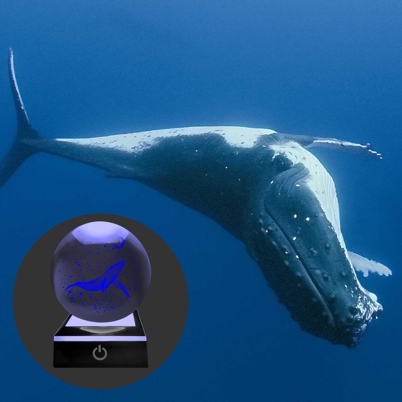 ALEENFOON 3D Whale Crystal Ball with LED Colourful Night Light