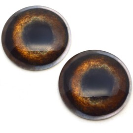 Medium Brown Dog Glass Eyes Realistic Animal Pair for Puppy Art Doll Parts, Sculpture, Prop, Mask, Fursuit Supplies, Jewelry Making Cabochons, Taxidermy, and More (12mm)