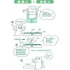 Nachihama Toilet Brush, Green x 2 Sets