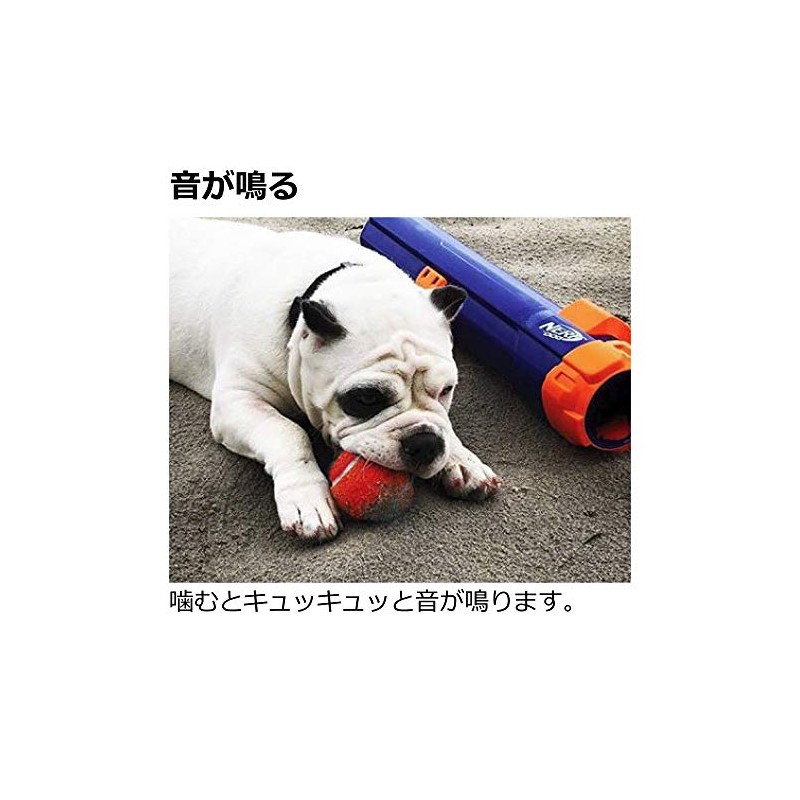 Richell Dog Toy Nerf Dog Tennis Ball 2i(4P)