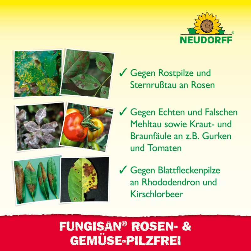 NEUDORFF ROSEN - PILZFREI 16 ML 448