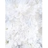 Great Papers! White Soft Petals Letterhead Stationery, 8.5" x 11",