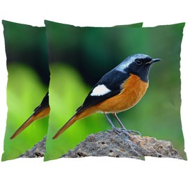 Wilproo Outdoor Patio Throw Pillow Covers Natural Birds Print Vintage Spring Decorative Cushion Cases Soft Velvet Square Fade-Resistant Pillowcase 18x18 Set of 2 for Sofa Couch Decor